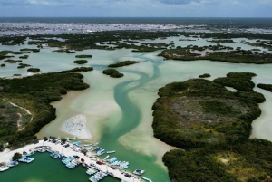 Chuburna ISLA COLUMPIOS Private Tour!