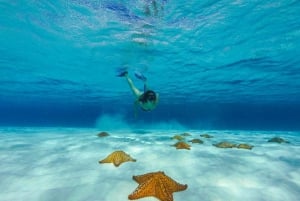 Cielo y Cielito Tour in Cozumel Catamaran With Toboggan, Open Bar and Lunch