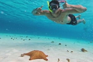 Cielo y Cielito Tour in Cozumel Catamaran With Toboggan, Open Bar and Lunch