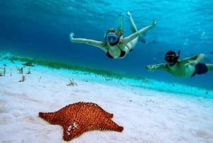 Cielo y Cielito Tour in Cozumel with Lunch, Open Bar and Transfer included.