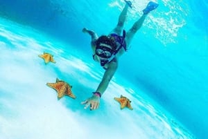 Cielo y Cielito Tour in Cozumel with Lunch, Open Bar and Transfer included.