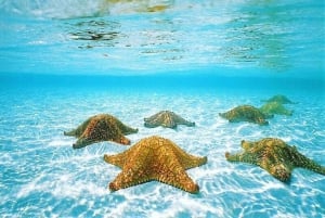 Cielo y Cielito Tour in Cozumel with Lunch, Open Bar and Transfer included.