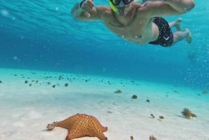 Cielo y Cielito Tour in Cozumel with Lunch, Open Bar and Transfer included.