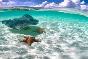 Tour Cielo y Cielito en Cozumel Catamarán Con Tobogán, Barra libre y Comida