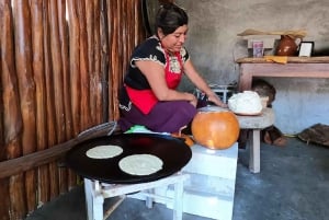 City and Taco Tour Puerto Morelos