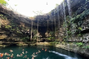 Classic Chichén Itzá tour: Cenote & Valladolid from Cancún