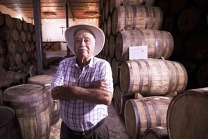 Tour Clásico Ruta de Tequila desde Guadalajara