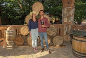 Tour Clásico Ruta de Tequila desde Guadalajara