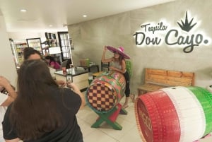 Tour Clásico Ruta de Tequila desde Guadalajara