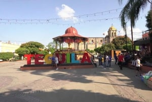 Tour Clásico Ruta de Tequila desde Guadalajara