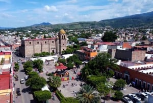 Tour Clásico Ruta de Tequila desde Guadalajara