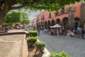 Tour Clásico Ruta de Tequila desde Guadalajara