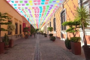 Tour Clásico Ruta de Tequila desde Guadalajara