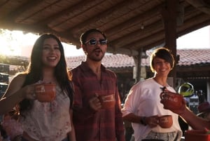 Tour Clásico Ruta de Tequila desde Guadalajara