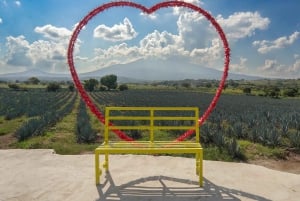 Tour Clásico Ruta de Tequila desde Guadalajara