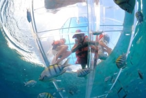 Clear Boat Cozumel Reefs Adventure Tour