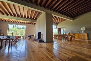 CMDX: Tour exclusivo del legado de Luis Barragán en Casa Pedregal