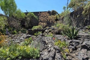 CMDX: Tour exclusivo del legado de Luis Barragán en Casa Pedregal