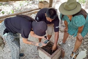 Coba: ancient mayan temples, mayan wildlife, tacos, cenote!