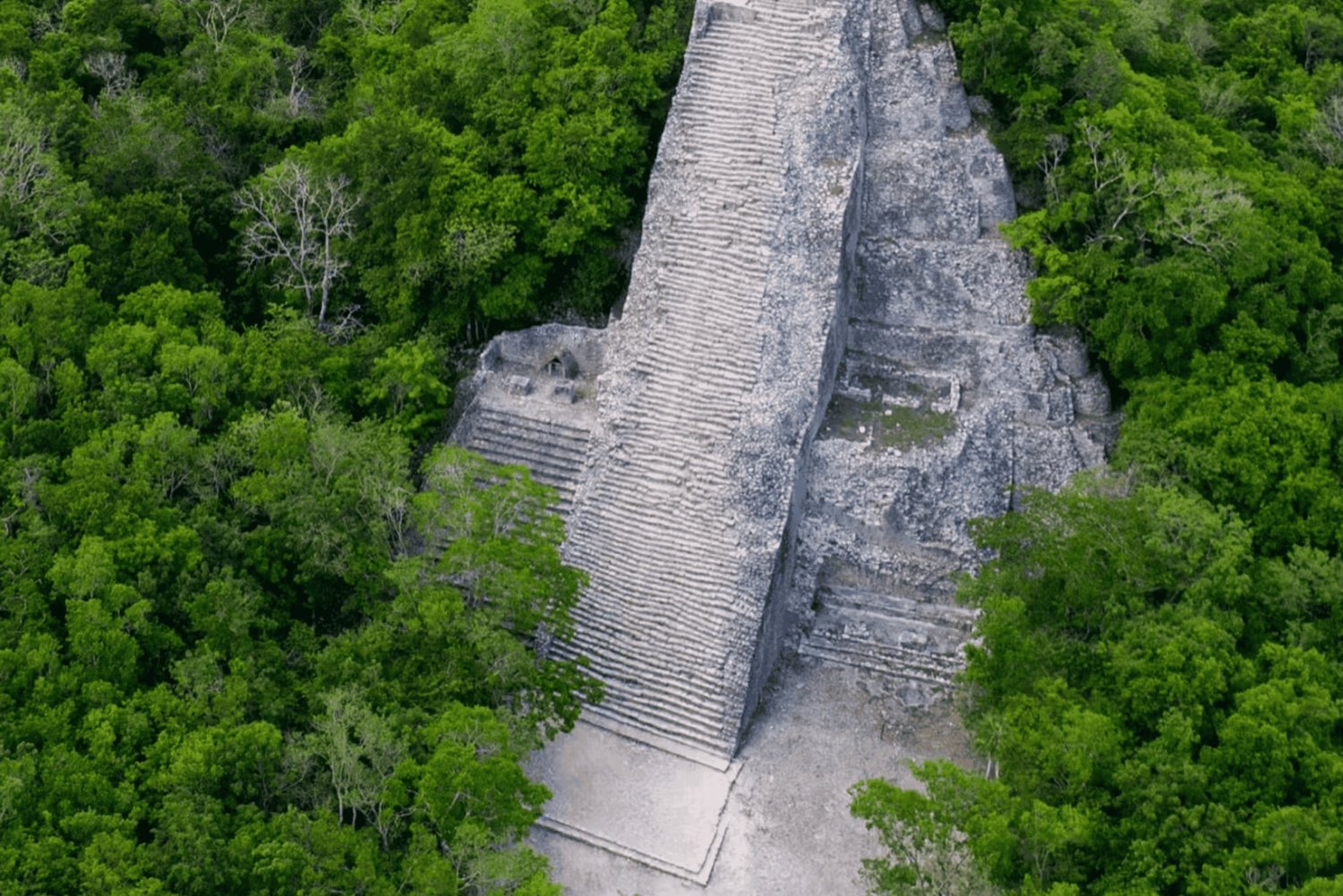 Coba: Guided Tour of the Mayan Ruins with Lunch and Sacbe Tour