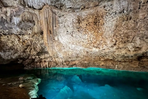 Coba, Secret Cenote and Mayan Family Lunch - Private Tour