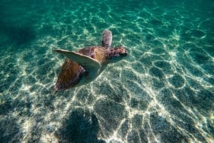 Coba + swimming with Turtles PRIVATE TOUR