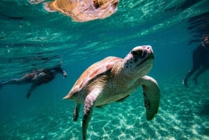 Coba + swimming with Turtles PRIVATE TOUR