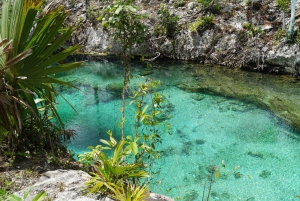 Coba, Tulum, Cenote and Mayan Village Tour with Transport