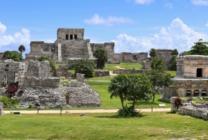 Coba, Tulum, Cenote y Comida ECO Día Completo desde Rivera