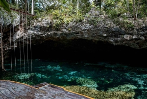 Coba, Tulum, Cenote y Comida ECO Día Completo desde Rivera