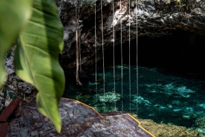 Coba, Tulum, Cenote y Comida ECO Día Completo desde Rivera