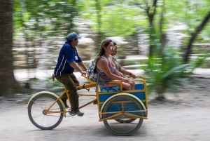 Coba, Tulum, Cenote y Comida ECO Día Completo desde Rivera