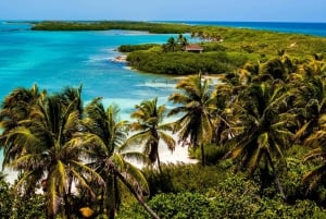 Excursión a las Islas Contoy y Mujeres con opciones de traslado