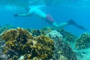 Coral Nursery Snorkeling Tour (with NGO)