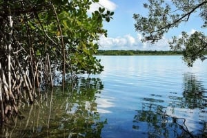 Costa Maya: Bacalar Seven Color Lagoon Kayak Adventure