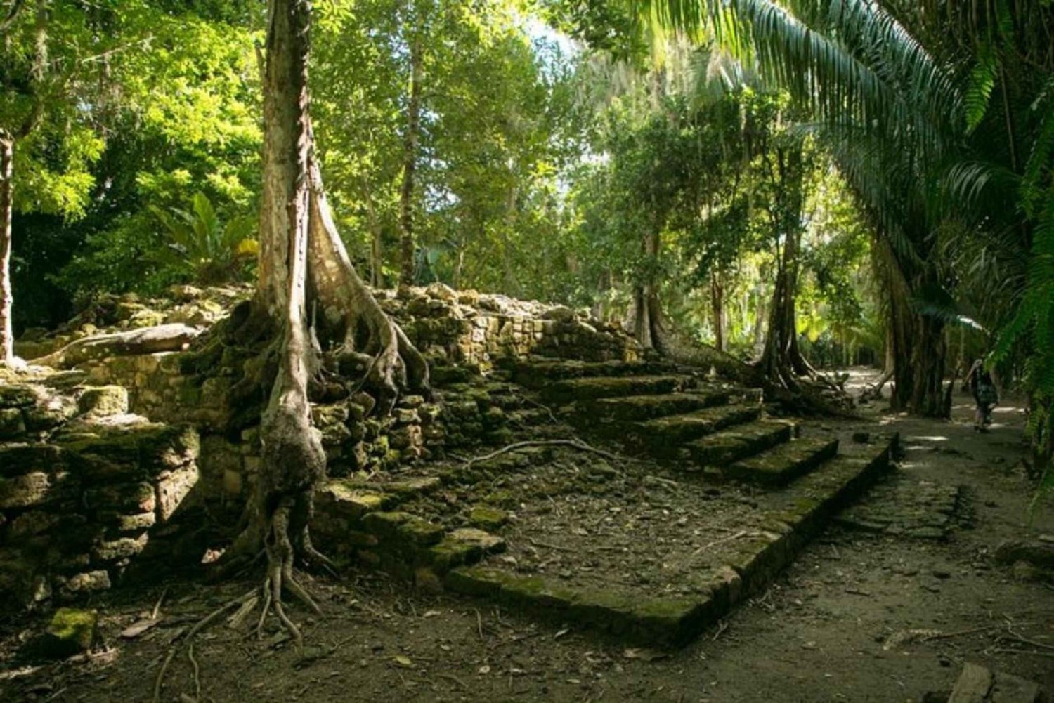 Costa Maya: Excursión a la costa de Chacchoben con servicio de recogida en el puerto