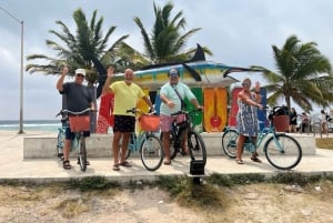 COSTA MAYA E.BIKES ALQUILER