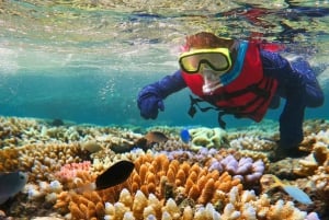 Costa Maya: Aventura de snorkel en barco con fotos