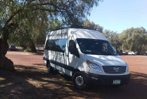 Coyoacan and Teotihuacan: Pyramids and Tourist Zones Tour