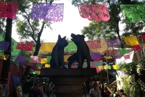 Coyoacan: Frida Kahlo, Leon Trotsky & History Museums Tour