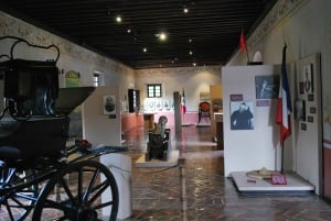 Coyoacan: Frida Kahlo, Leon Trotsky & History Museums Tour