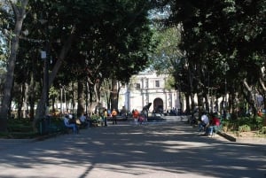Coyoacan: Frida Kahlo, Leon Trotsky & History Museums Tour