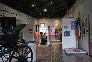 Coyoacan: Frida Kahlo, Leon Trotsky & History Museums Tour