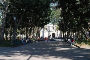 Coyoacan: Frida Kahlo, Leon Trotsky & History Museums Tour