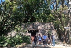 COYOACAN: LOS PASOS DE FRIDA KAHLO EN COYOACAN Y SAN ÁNGEL CDMX