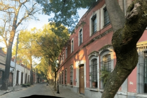 COYOACAN: LOS PASOS DE FRIDA KAHLO EN COYOACAN Y SAN ÁNGEL CDMX