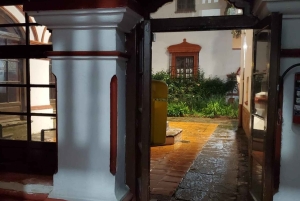 COYOACAN: LOS PASOS DE FRIDA KAHLO EN COYOACAN Y SAN ÁNGEL CDMX