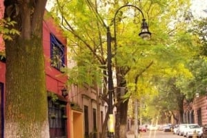 COYOACAN: LOS PASOS DE FRIDA KAHLO EN COYOACAN Y SAN ÁNGEL CDMX