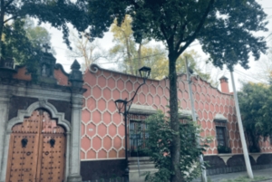 COYOACAN: LOS PASOS DE FRIDA KAHLO EN COYOACAN Y SAN ÁNGEL CDMX