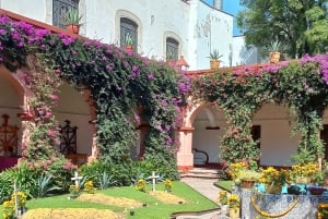 Coyoacan, the history and life of a magical neighborhood